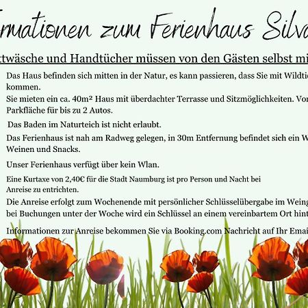 Ferienhaus Silvaner ナウムブルク エクステリア 写真
